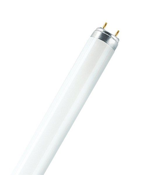 LUMILUX® T8 58 W/840